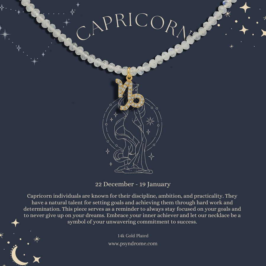 Capricorn Zodiac Necklace